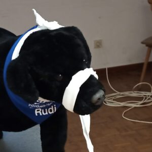 Erste Hilfe f&uuml;r Hunde mit Tier&auml;rztin Allena Merkert